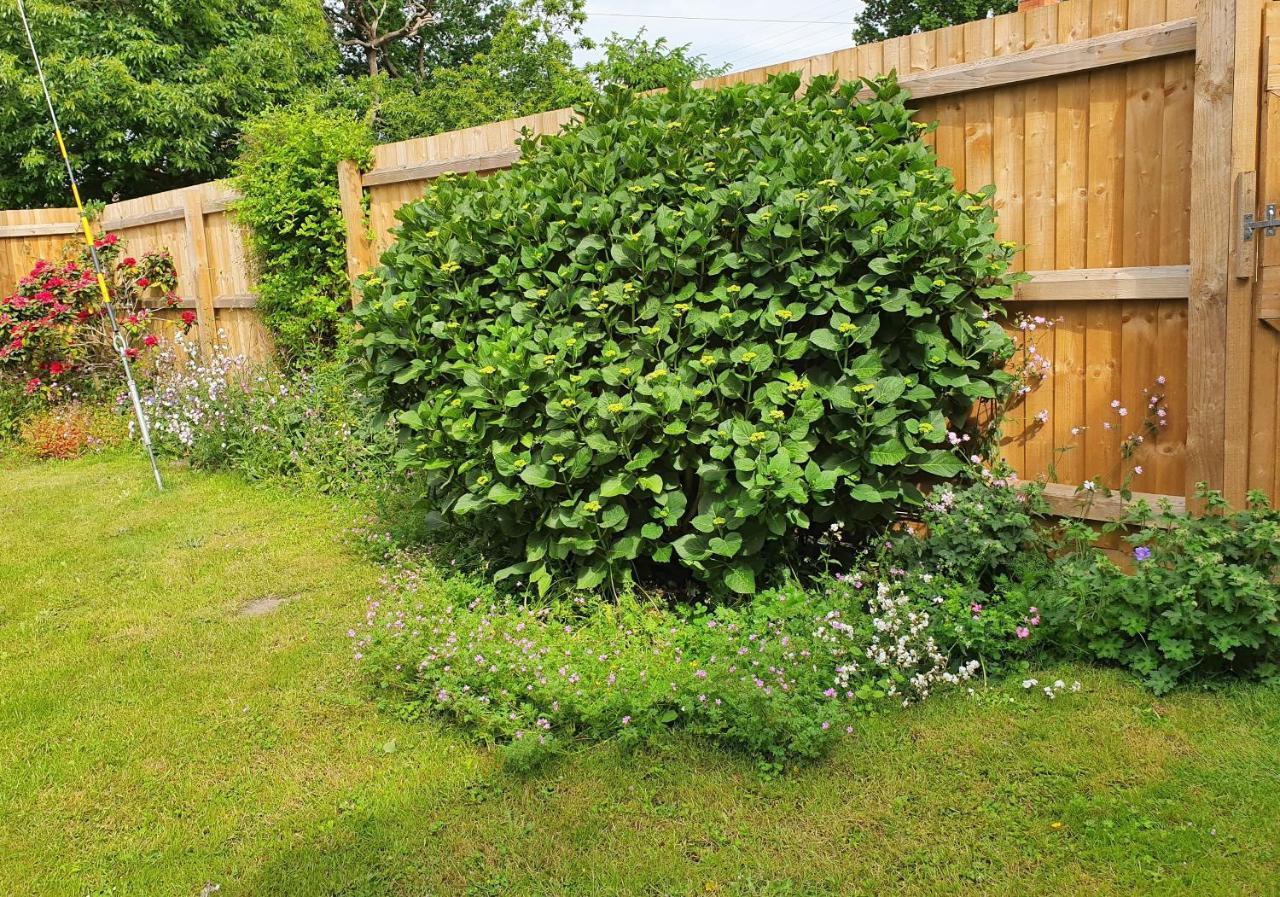 Forest Farm Papplewick Nottingham - Spacious Self-Contained Rural Retreat! Bagian luar foto